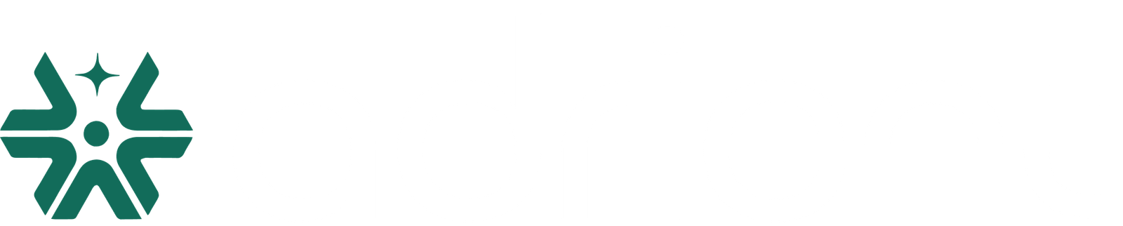 Adrient Pvt Ltd